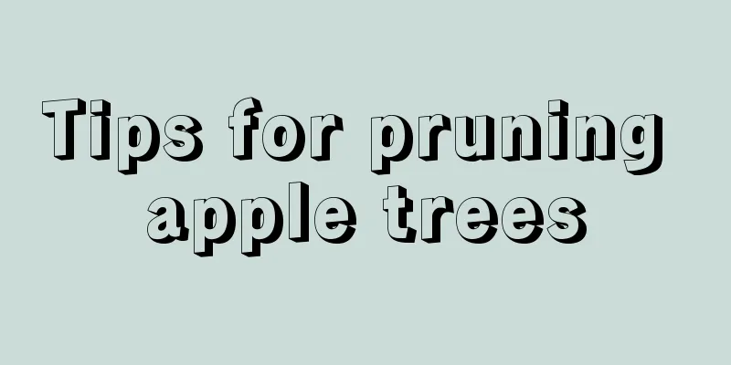 Tips for pruning apple trees