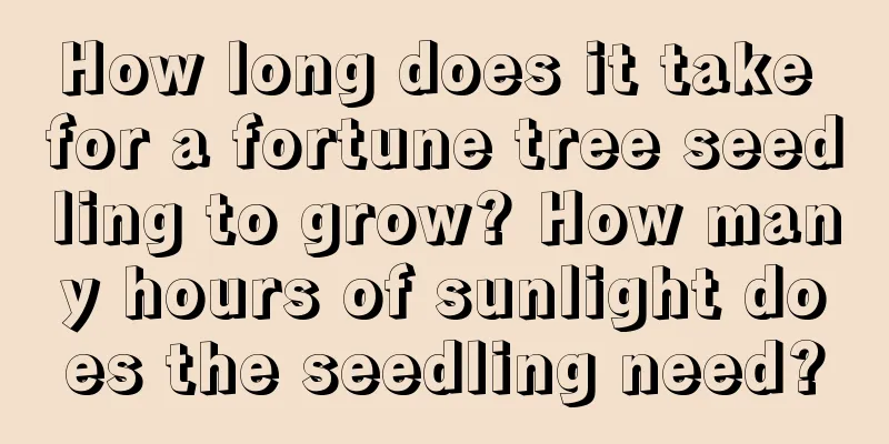 How long does it take for a fortune tree seedling to grow? How many hours of sunlight does the seedling need?