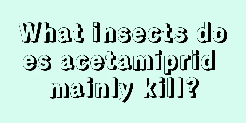 What insects does acetamiprid mainly kill?