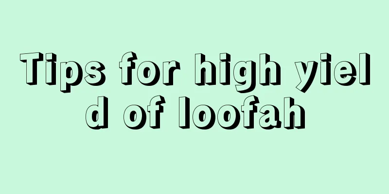 Tips for high yield of loofah