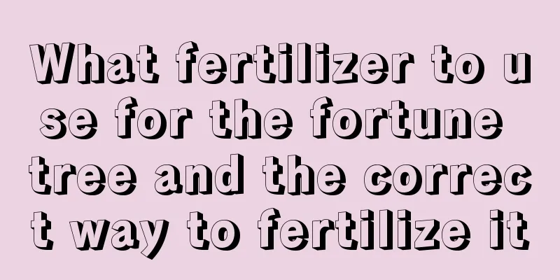 What fertilizer to use for the fortune tree and the correct way to fertilize it