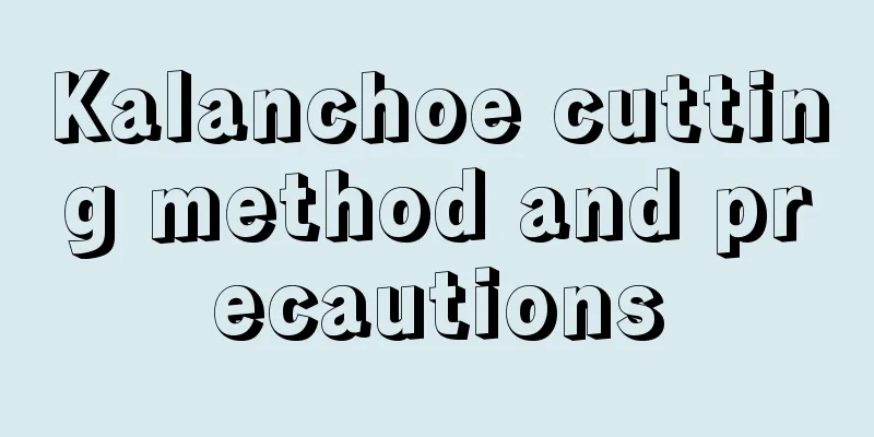 Kalanchoe cutting method and precautions