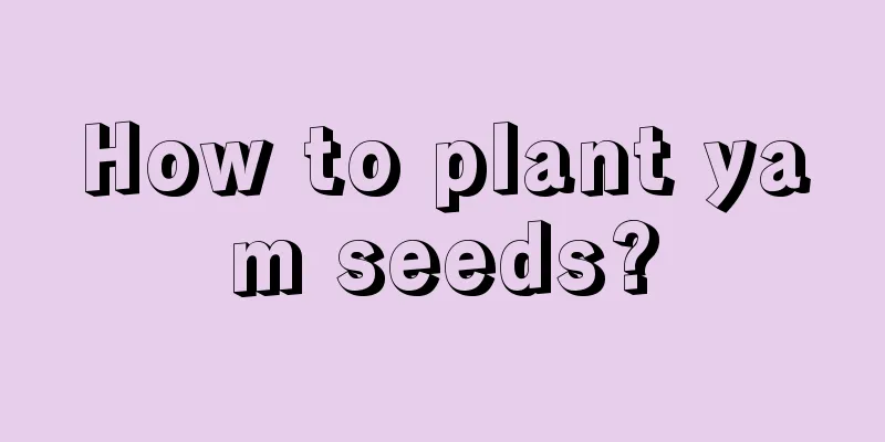 How to plant yam seeds?