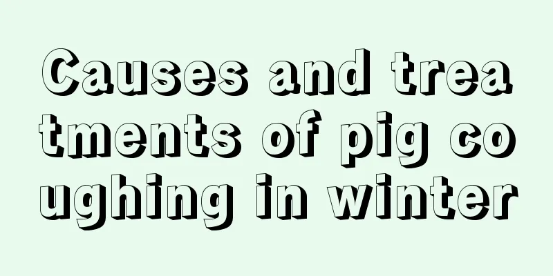 Causes and treatments of pig coughing in winter