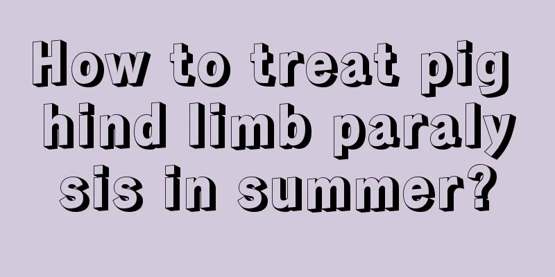 How to treat pig hind limb paralysis in summer?