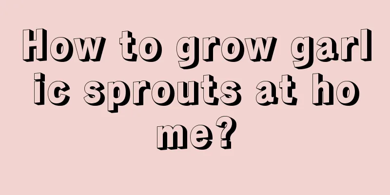 How to grow garlic sprouts at home?