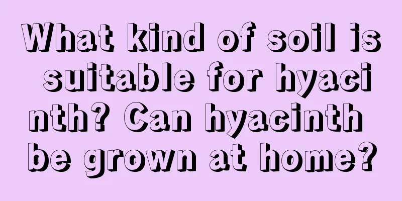 What kind of soil is suitable for hyacinth? Can hyacinth be grown at home?