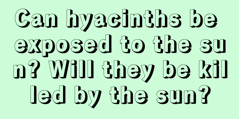 Can hyacinths be exposed to the sun? Will they be killed by the sun?