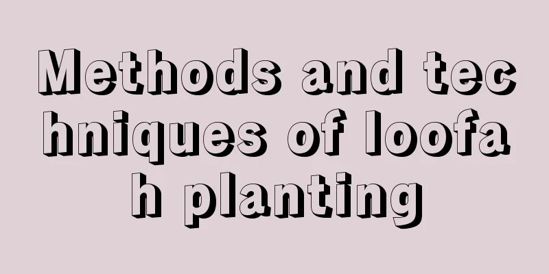 Methods and techniques of loofah planting