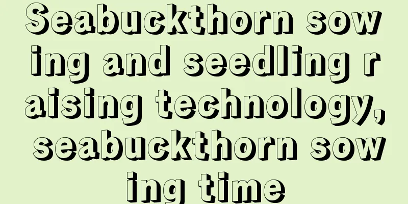 Seabuckthorn sowing and seedling raising technology, seabuckthorn sowing time