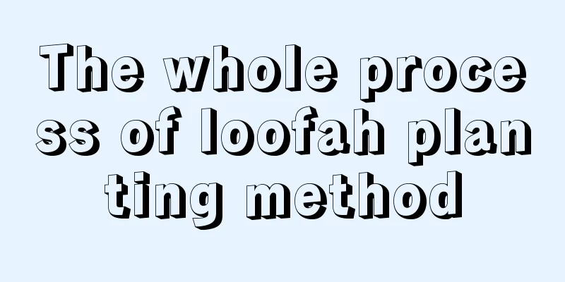 The whole process of loofah planting method