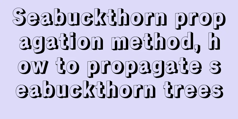 Seabuckthorn propagation method, how to propagate seabuckthorn trees