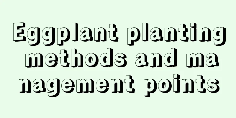 Eggplant planting methods and management points