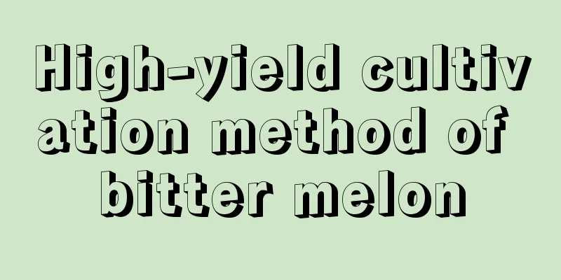 High-yield cultivation method of bitter melon