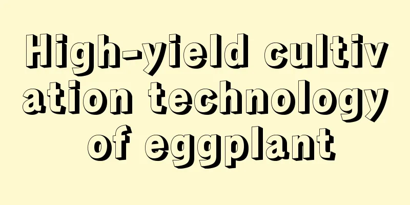 High-yield cultivation technology of eggplant