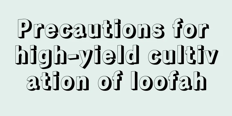 Precautions for high-yield cultivation of loofah