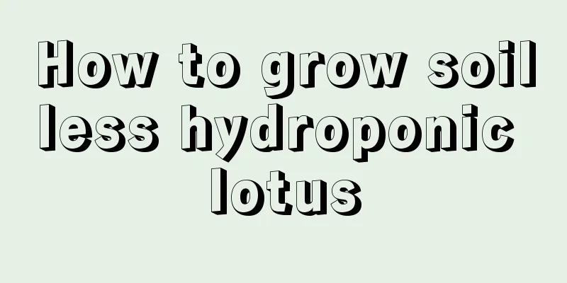 How to grow soilless hydroponic lotus