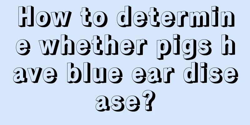 How to determine whether pigs have blue ear disease?