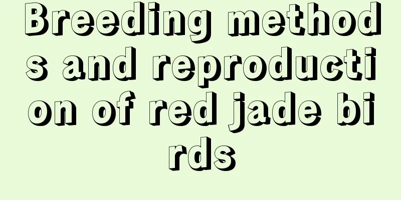 Breeding methods and reproduction of red jade birds