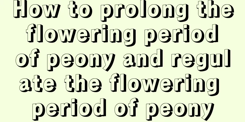 How to prolong the flowering period of peony and regulate the flowering period of peony