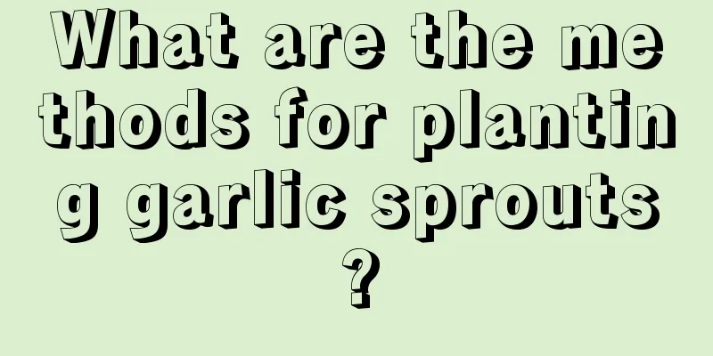 What are the methods for planting garlic sprouts?