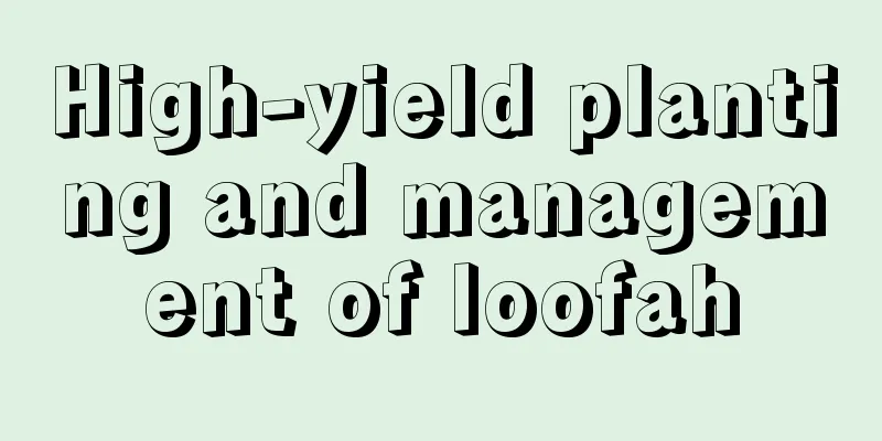 High-yield planting and management of loofah