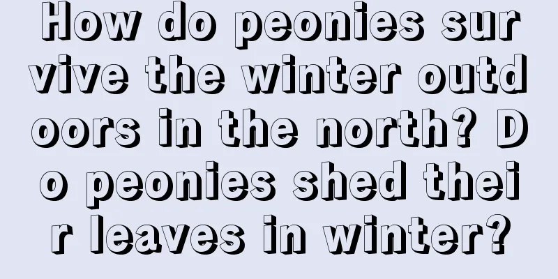 How do peonies survive the winter outdoors in the north? Do peonies shed their leaves in winter?