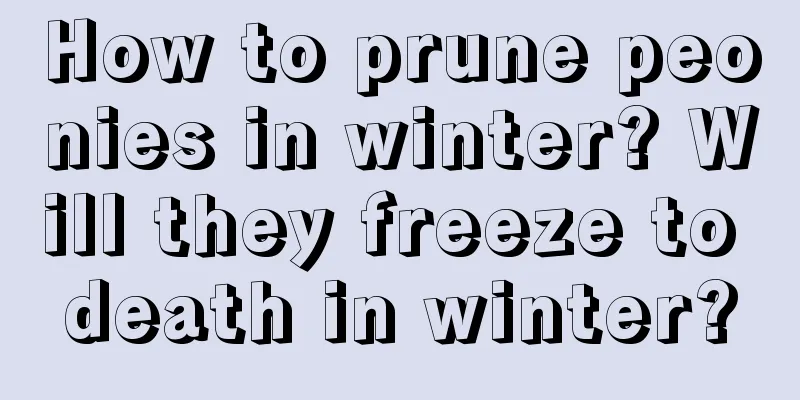 How to prune peonies in winter? Will they freeze to death in winter?