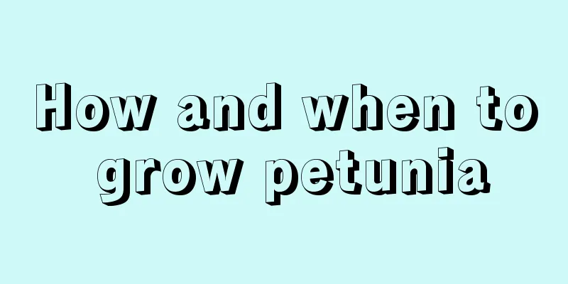 How and when to grow petunia