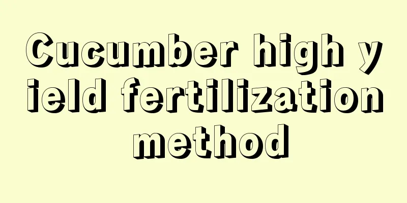 Cucumber high yield fertilization method