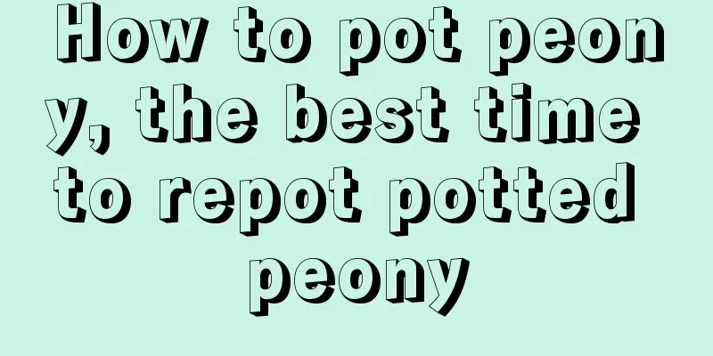 How to pot peony, the best time to repot potted peony