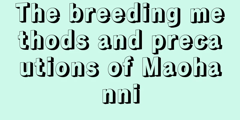 The breeding methods and precautions of Maohanni