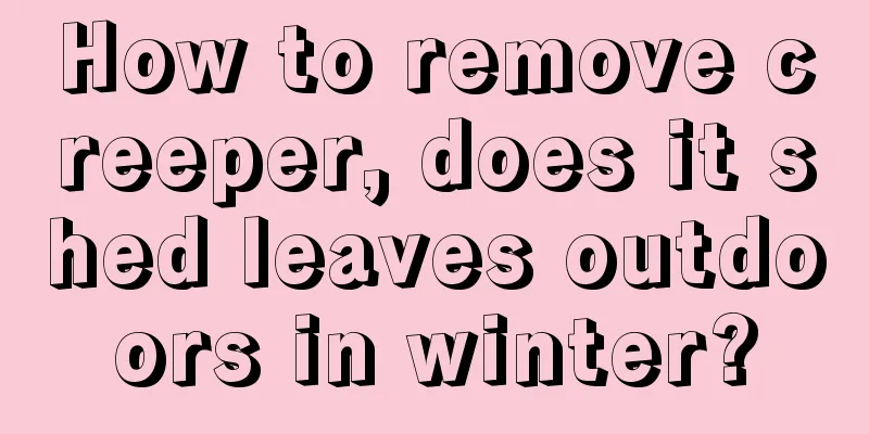 How to remove creeper, does it shed leaves outdoors in winter?