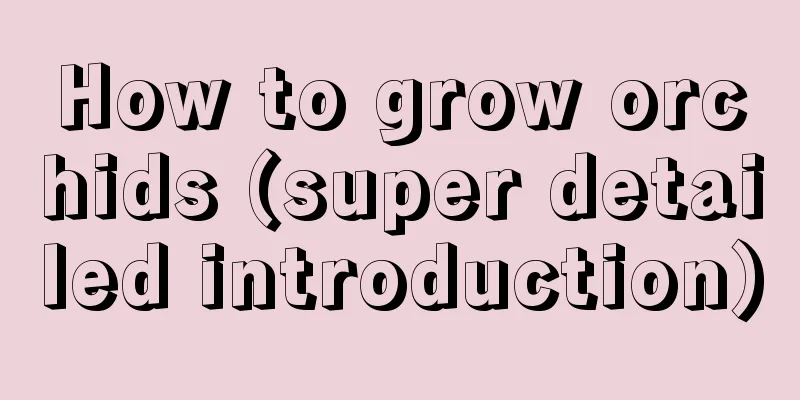 How to grow orchids (super detailed introduction)