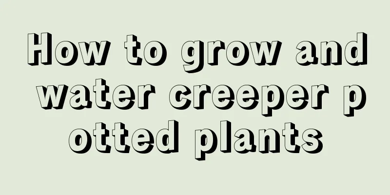 How to grow and water creeper potted plants