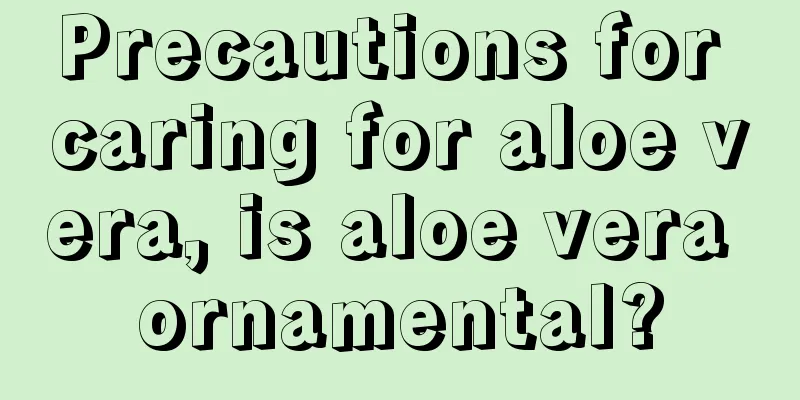 Precautions for caring for aloe vera, is aloe vera ornamental?