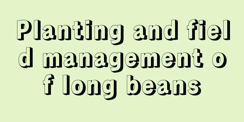 Planting and field management of long beans