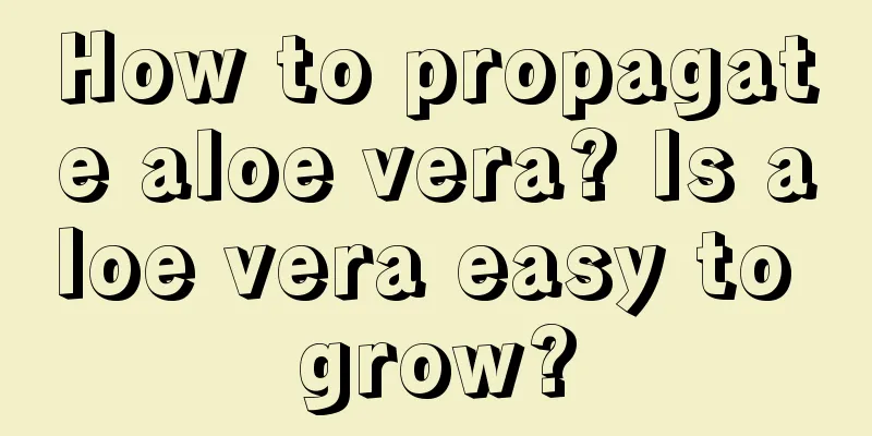 How to propagate aloe vera? Is aloe vera easy to grow?