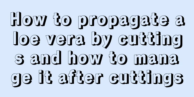 How to propagate aloe vera by cuttings and how to manage it after cuttings