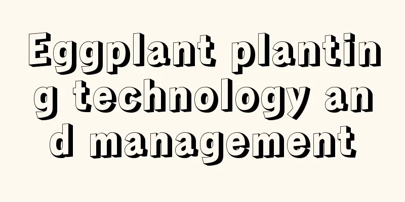 Eggplant planting technology and management