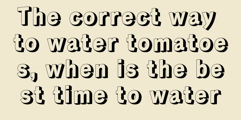 The correct way to water tomatoes, when is the best time to water