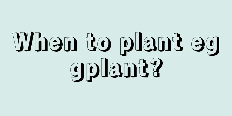 When to plant eggplant?