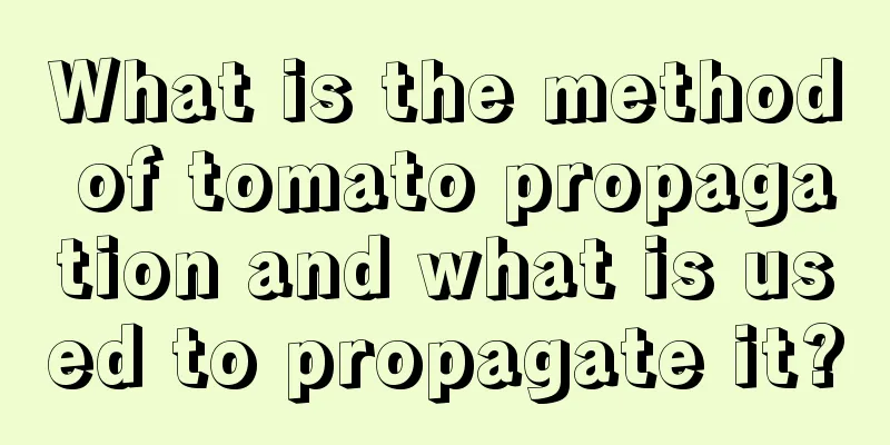 What is the method of tomato propagation and what is used to propagate it?