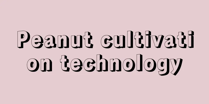 Peanut cultivation technology