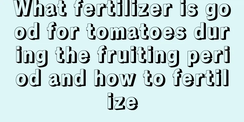 What fertilizer is good for tomatoes during the fruiting period and how to fertilize