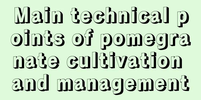 Main technical points of pomegranate cultivation and management