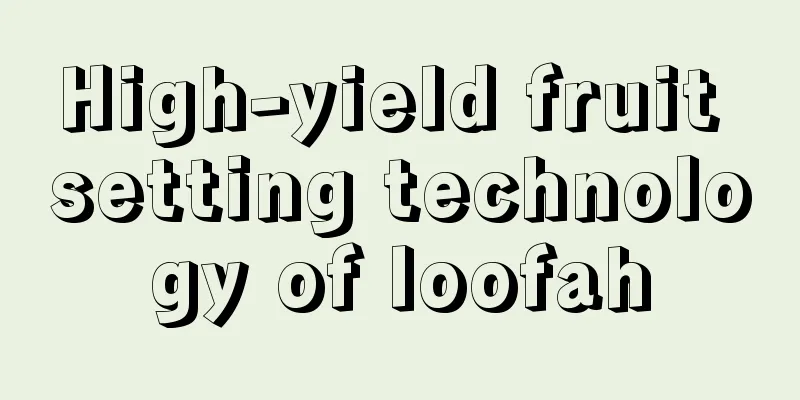 High-yield fruit setting technology of loofah