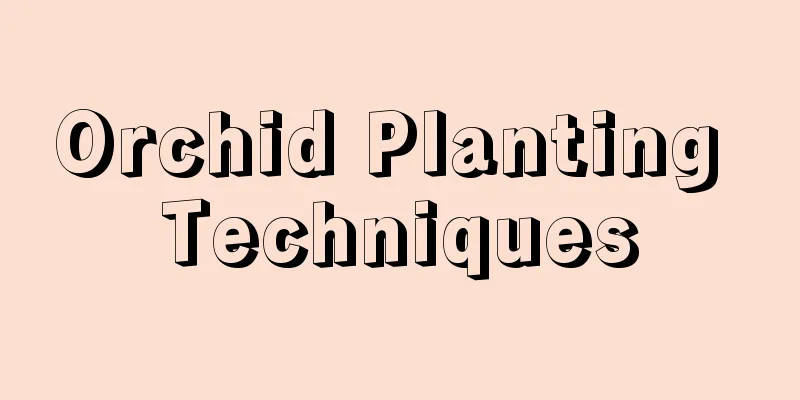 Orchid Planting Techniques