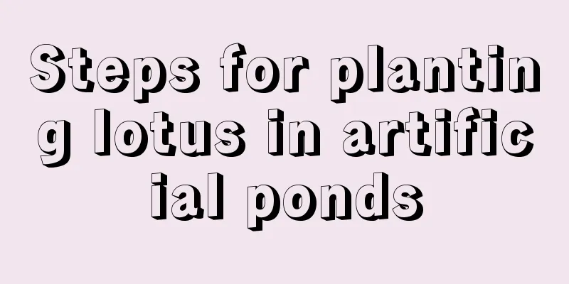 Steps for planting lotus in artificial ponds