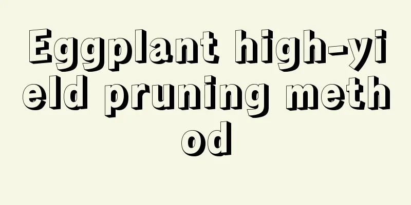 Eggplant high-yield pruning method